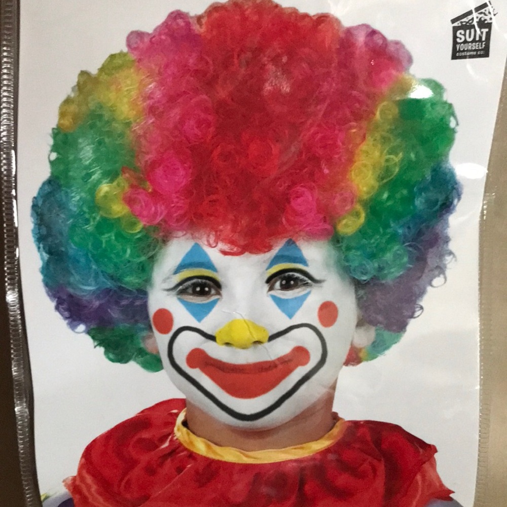 Suit Yourself Costume Co. Kids 6+ Rainbow Clown Wig Curly Halloween Pretend play